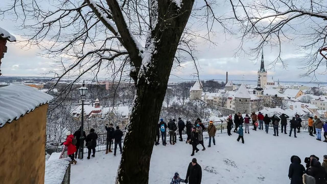 Lejlighed Luxury Medieval 2 Storey With Antique Furniture In Old Town Tallinn